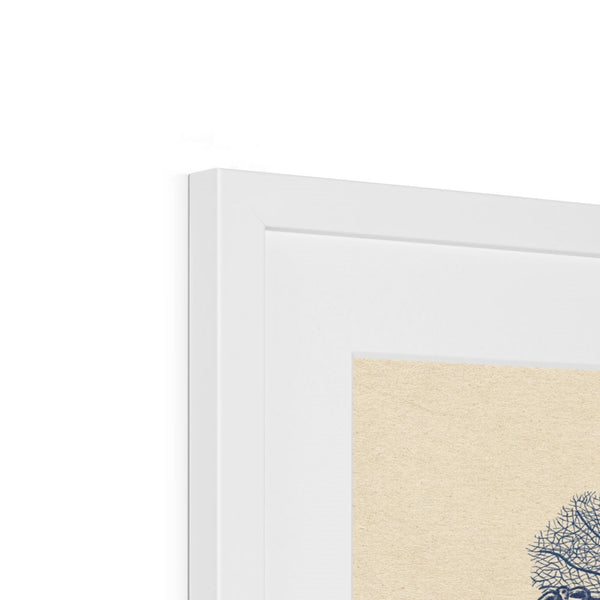 Coral Slide II Framed & Mounted Print