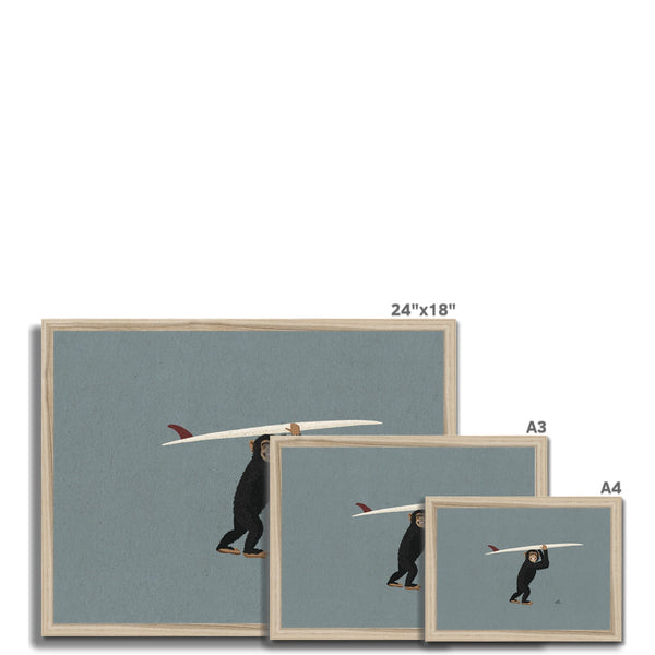 Surfing Chimpanzee Framed Print