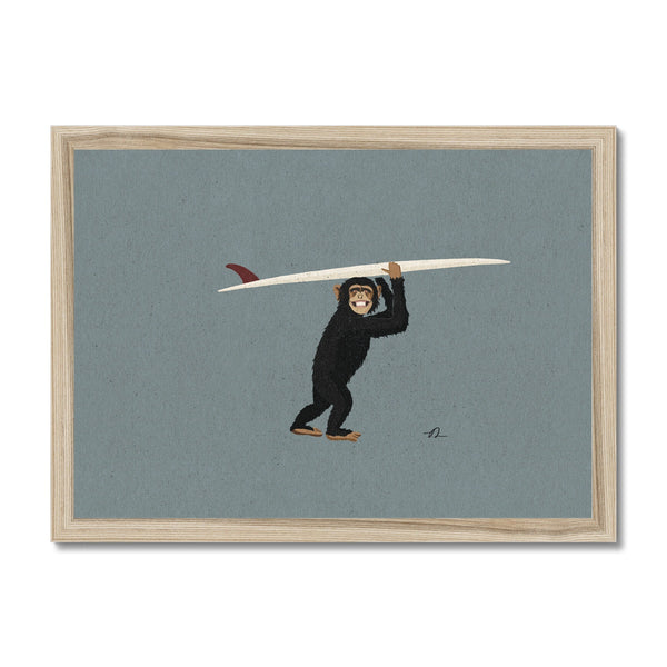 Surfing Chimpanzee Framed Print